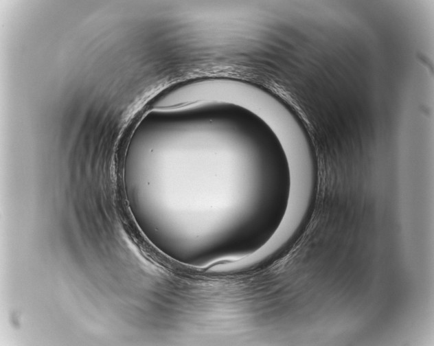 X0000099400674200805291211