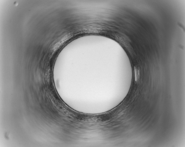 X0000099400675200805291211