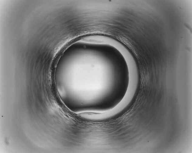 X0000099400676200805291211