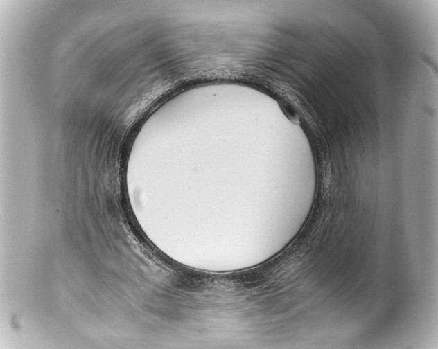 X0000099400677200805291211