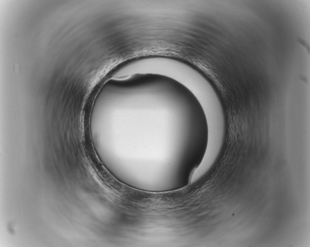 X0000099400678200805291210