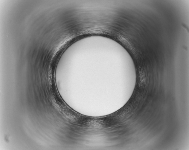 X0000099400680200805291210