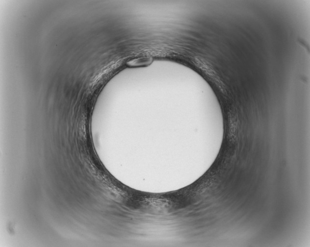 X0000099400681200805291210