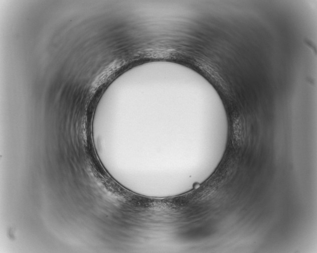 X0000099400682200805291210