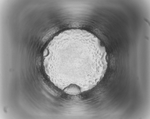 X0000099400683200805291210