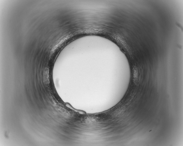 X0000099400684200805291210