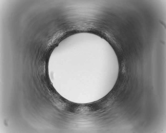 X0000099400685200805291210