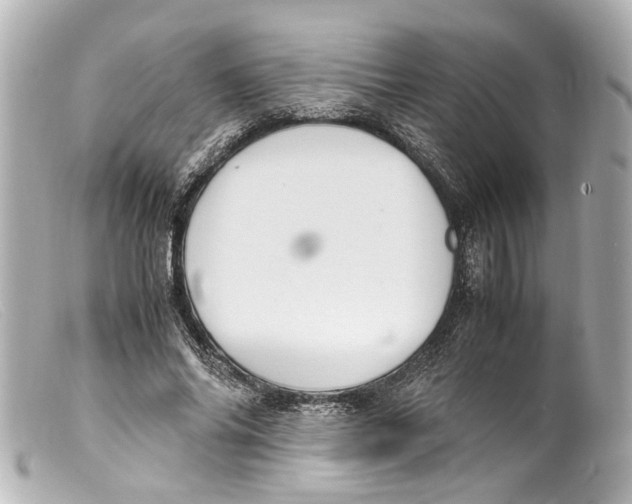 X0000099400686200805291210