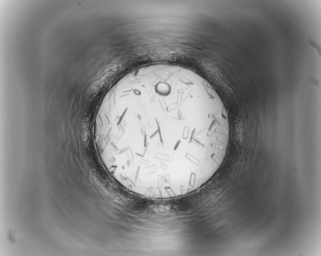 X0000099400687200805291210