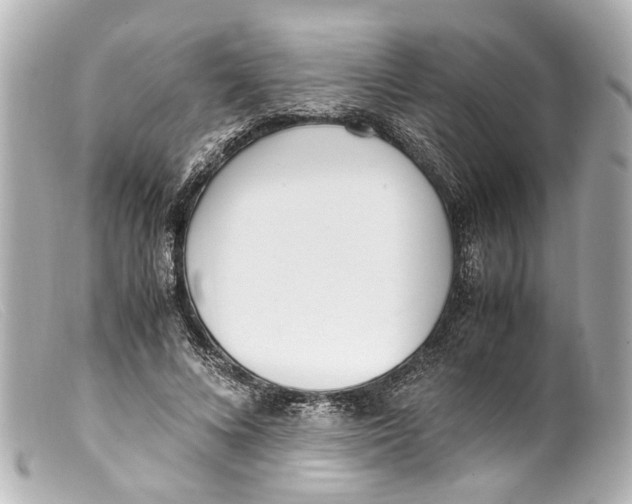 X0000099400688200805291210