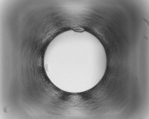 X0000099400689200805291210