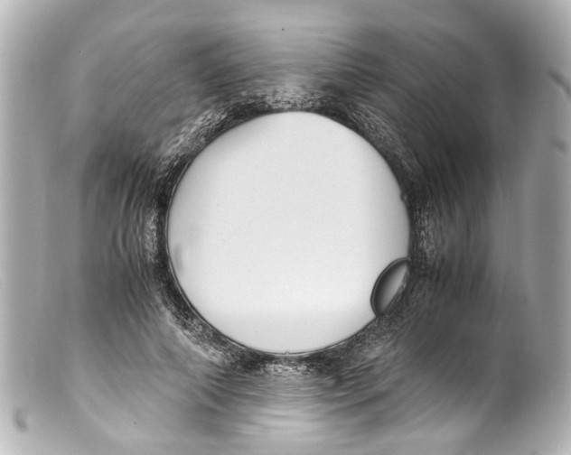 X0000099400690200805291210