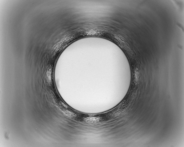 X0000099400691200805291210