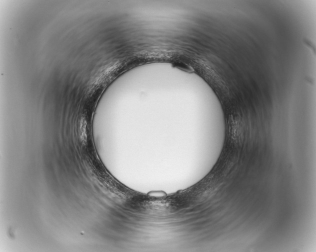 X0000099400692200805291210