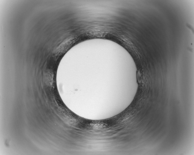 X0000099400693200805291210