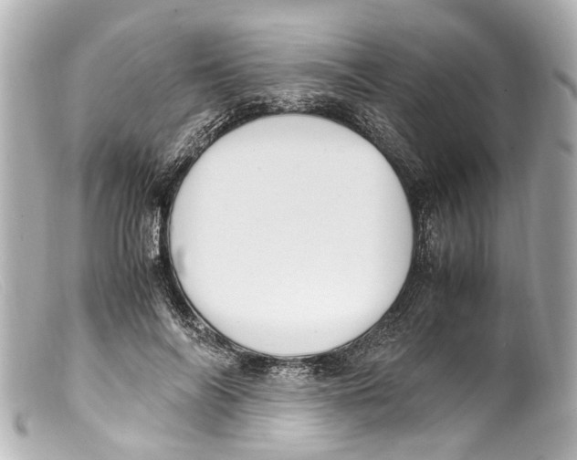 X0000099400694200805291210