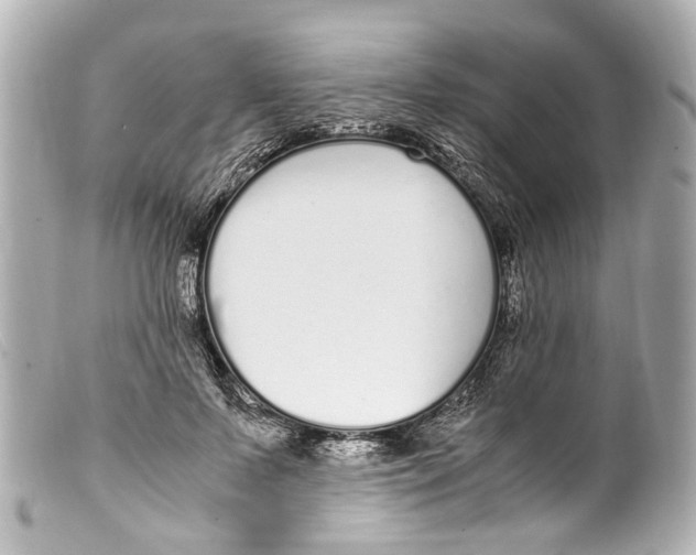 X0000099400695200805291210