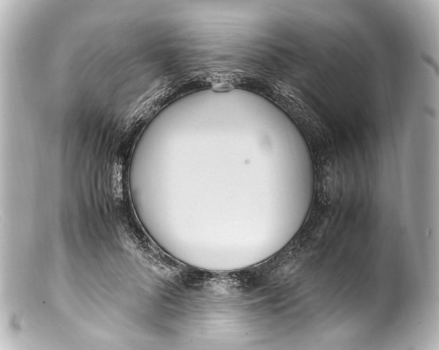 X0000099400696200805291210