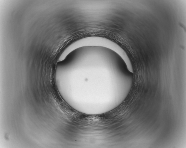 X0000099400698200805291210