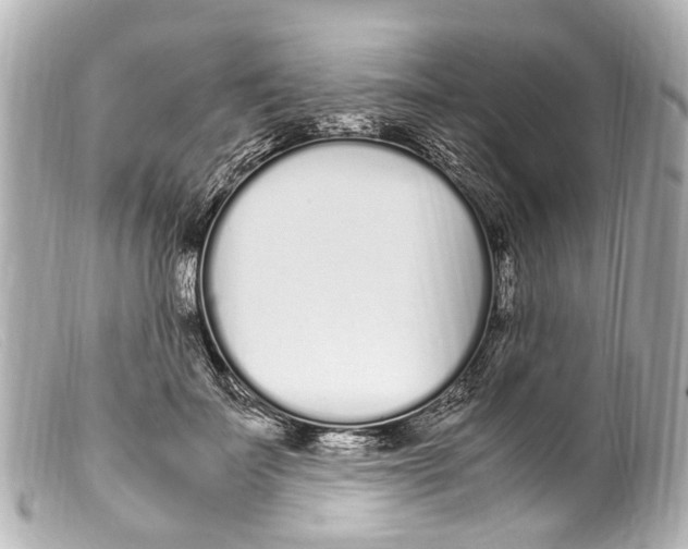 X0000099400699200805291210