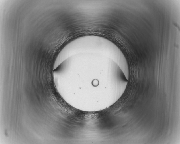 X0000099400700200805291210