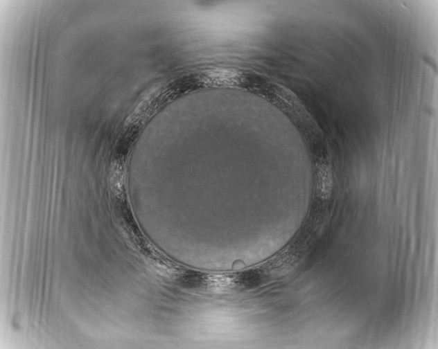 X0000099400701200805291210