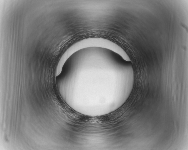 X0000099400702200805291210