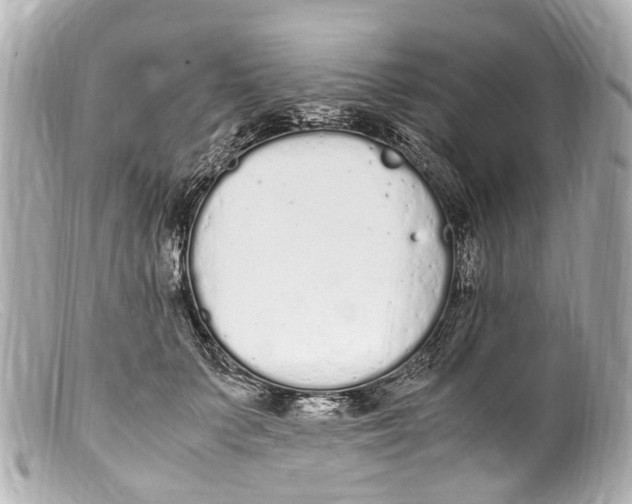 X0000099400703200805291210