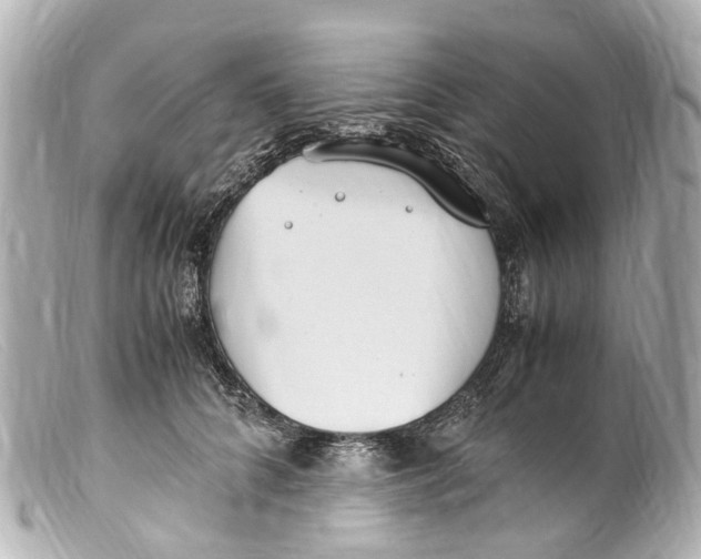 X0000099400704200805291210