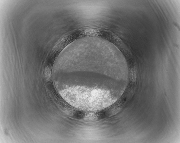 X0000099400705200805291210