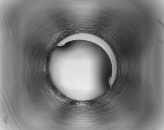 X0000099400706200805291210