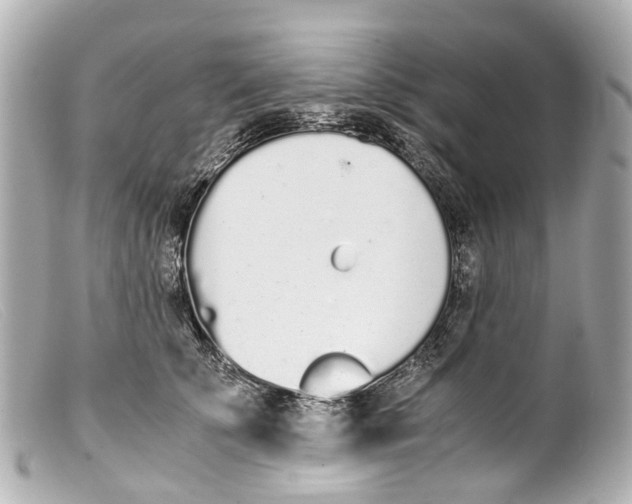 X0000099400707200805291210