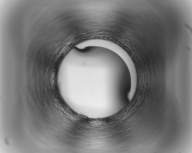 X0000099400708200805291210