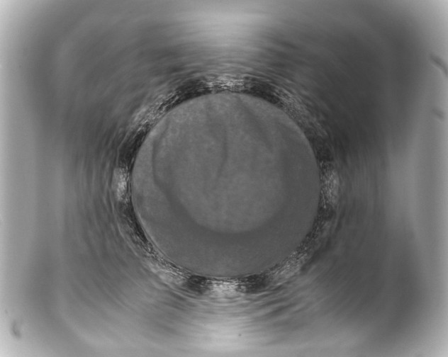 X0000099400709200805291210