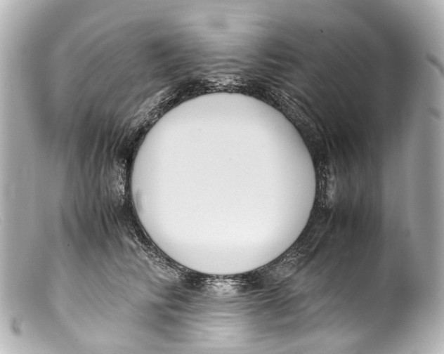 X0000099400710200805291210