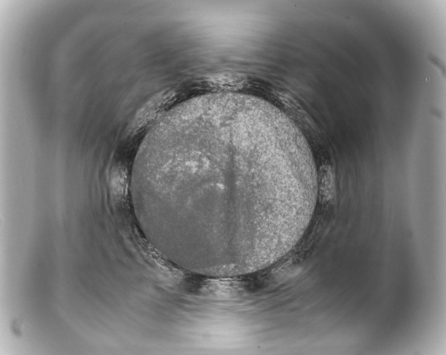 X0000099400713200805291210