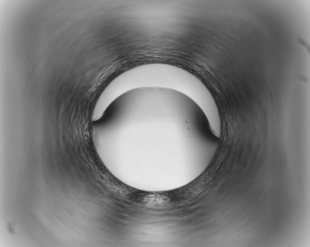 X0000099400714200805291210