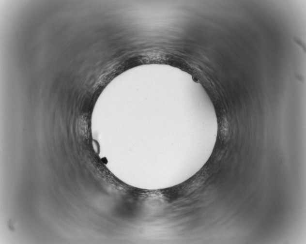 X0000099400715200805291210