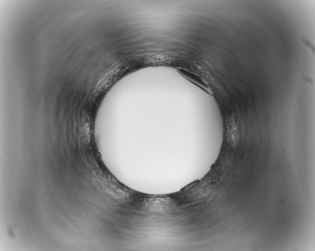 X0000099400716200805291210