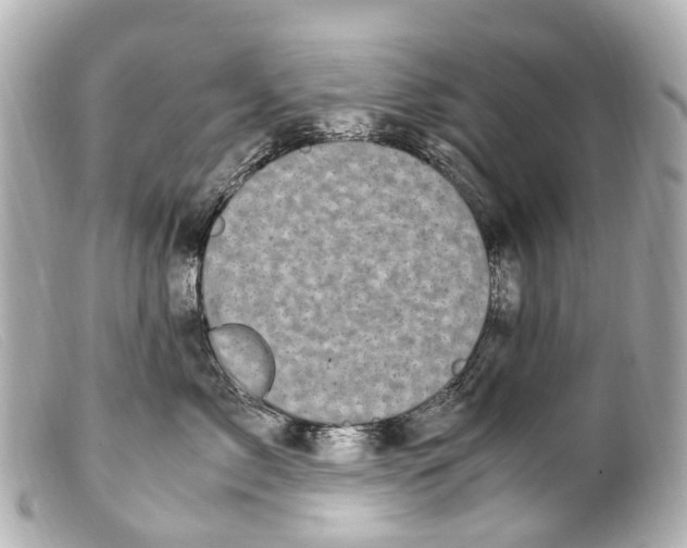 X0000099400717200805291210