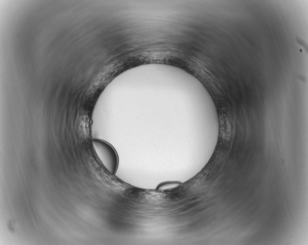 X0000099400718200805291210