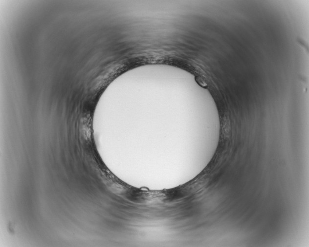 X0000099400719200805291210