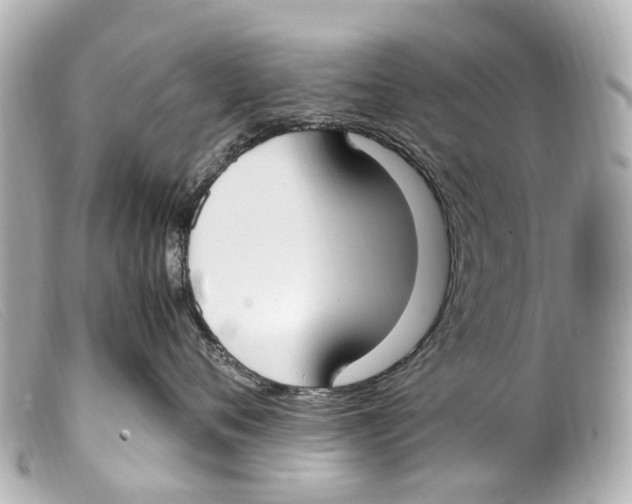 X0000099400720200805291210