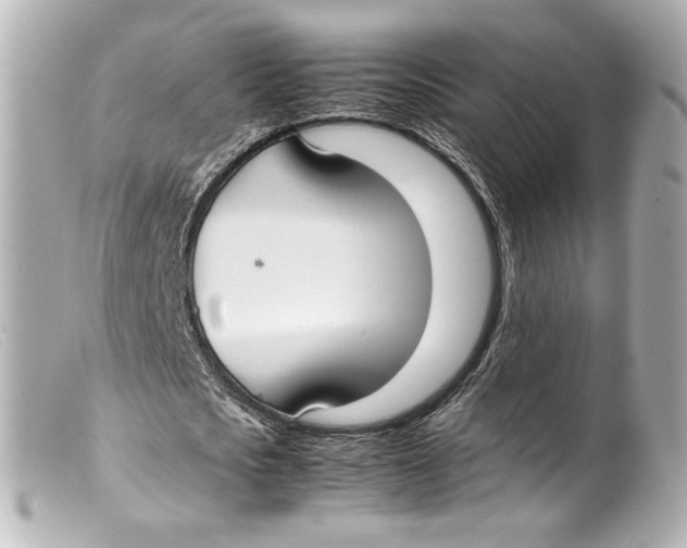 X0000099400721200805291209