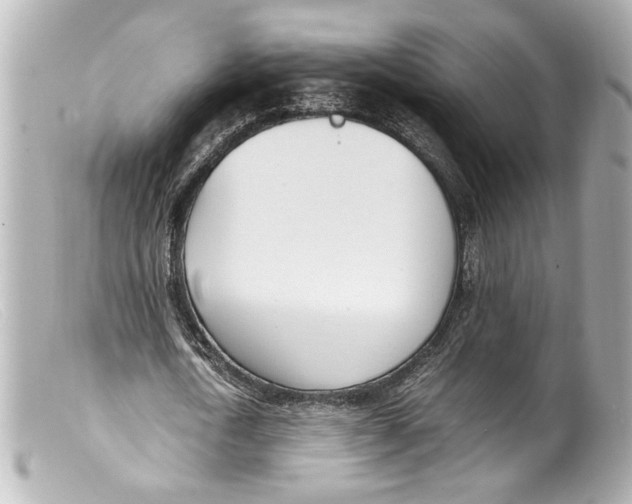 X0000099400722200805291209