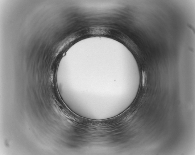 X0000099400723200805291209