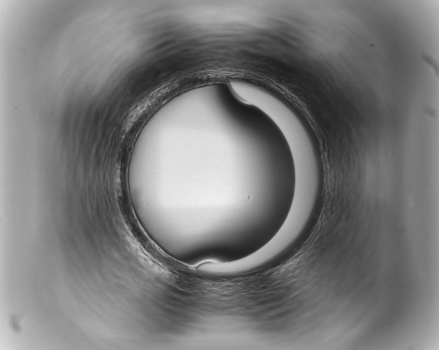 X0000099400725200805291209