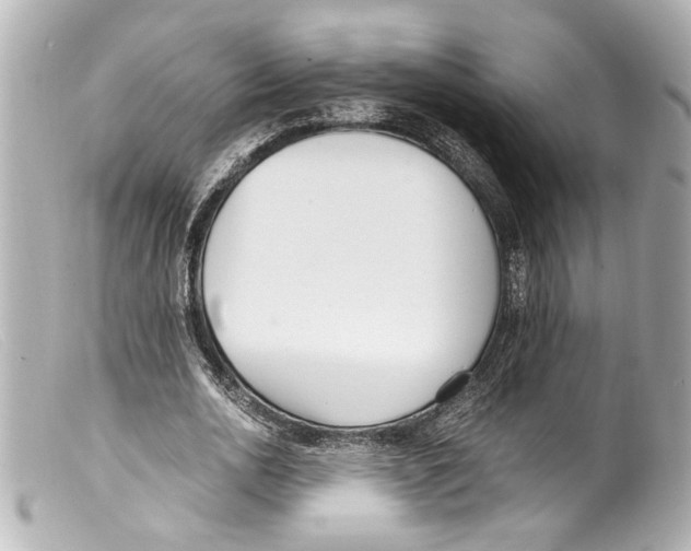 X0000099400726200805291209