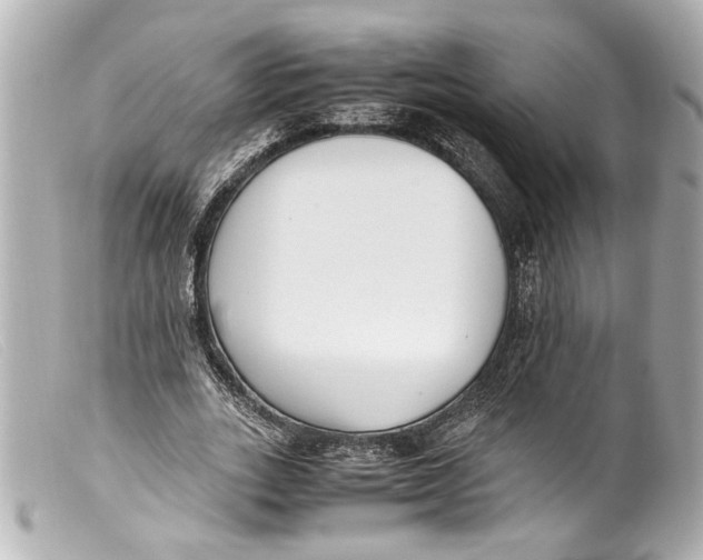 X0000099400727200805291209