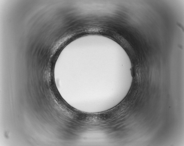 X0000099400728200805291209